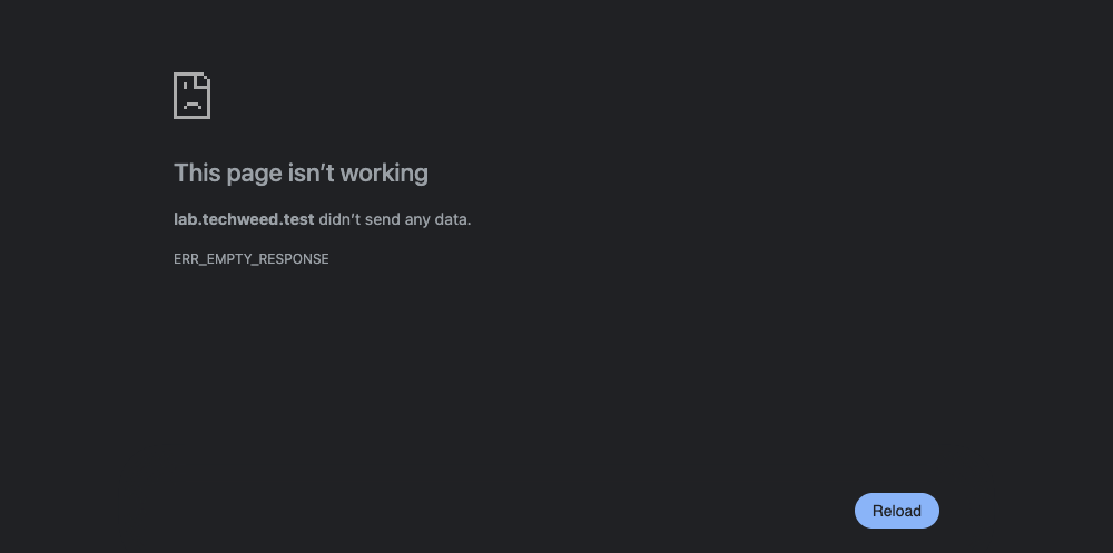 ERR_EMPTY_RESPONSE on nginx and WordPress: what sends nothing back, and how to fix it WordPress on a VPS Chrome error page: This page isn’t working. lab.techweed.test didn’t send any data. ERR_EMPTY_RESPONSE